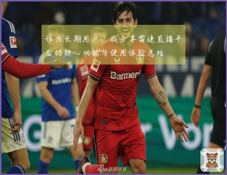 作为长期用户，我分享雷速直播平台的核心功能与使用体验总结